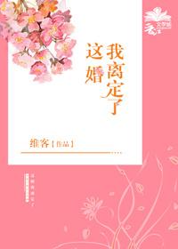 这婚我离定了书评