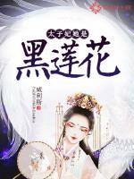 太子妃是朵黑心莲谨鸢