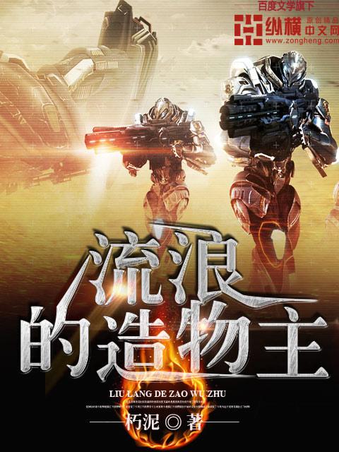 播放流浪的东西