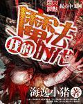 我的魔法时代剧情梗概